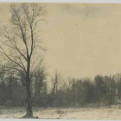 Snow Covered Field at Stan Hywet
