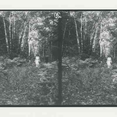 People walking in the woods