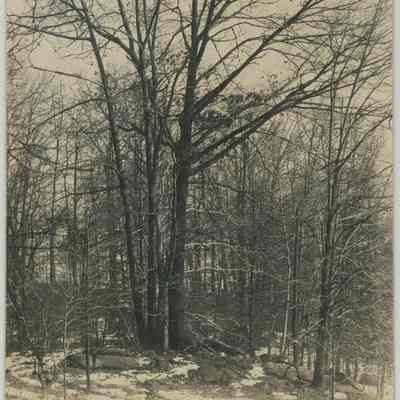 Stan Hywet Property Pre-Construction