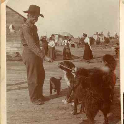 People and dogs in town