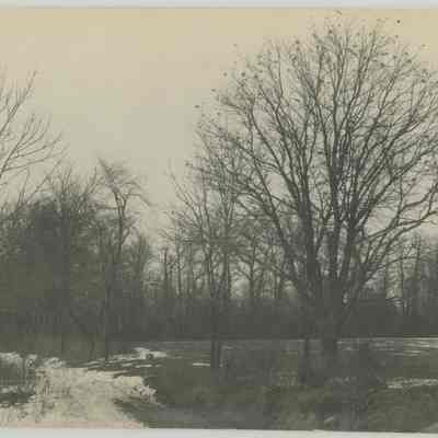Snow Covered Driveway at Stan Hywet
