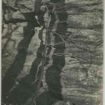 Rocky Ledge with Snow Covered Brush