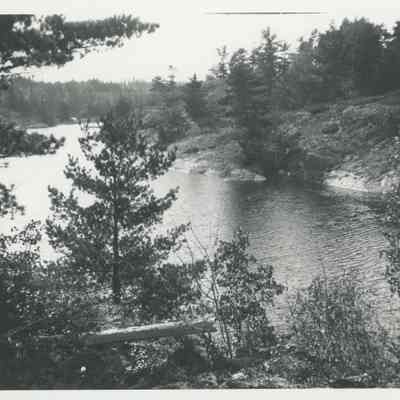 Nature scene of a river and pine trees