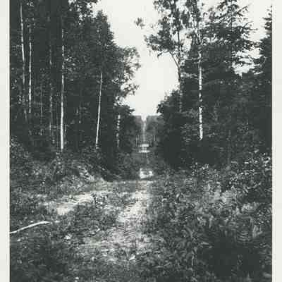 Dirt road in a rural area