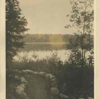Scenic view around Cedar Lodge