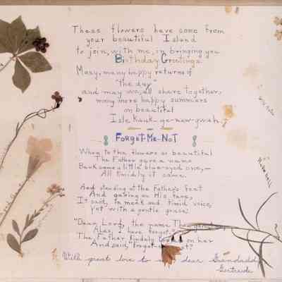 Pg 8 - Gertrude Harrison (Irene's daughter)