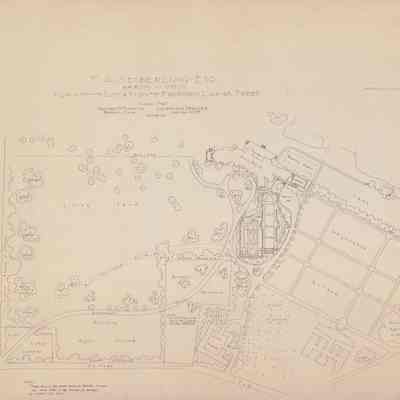 Drawing: Plan showing location for proposed large trees