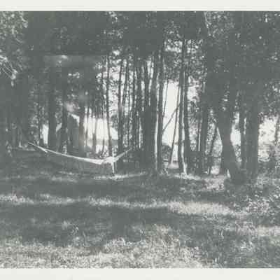 Hammock in the woods