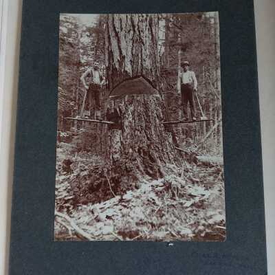 Photograph