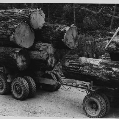 Logging Truck
