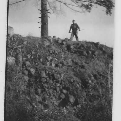 Photograph