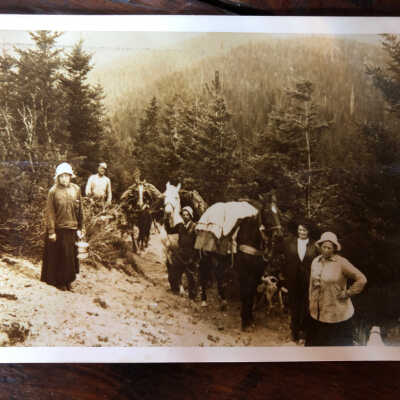 Photograph