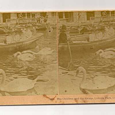 The children and the swans, Lincoln Park, Chicago, Ill., U.S.A.