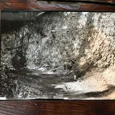 Photograph