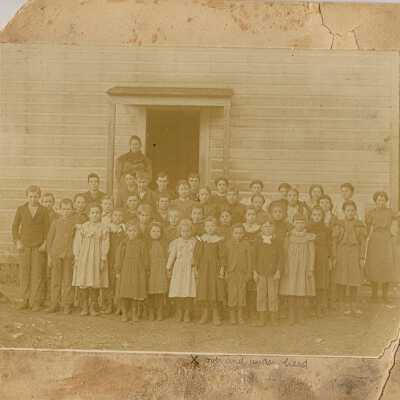 Photograph