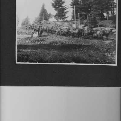 Horses and wagons hauling rock and dirt making a road