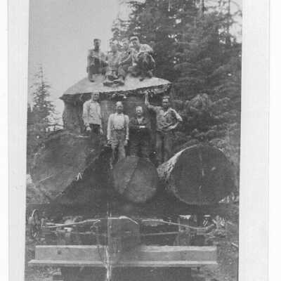Train Loaded With Logs