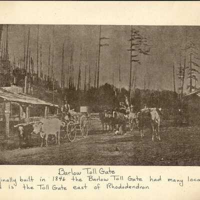 Rhododendron Toll Gate