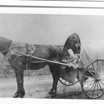 Ben Dobson Mail Carrier