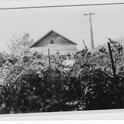 Photograph