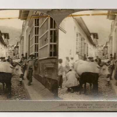 In the arrow streets of LaGuayra, Venezuela -- Native method of distributing milk unadulterated.