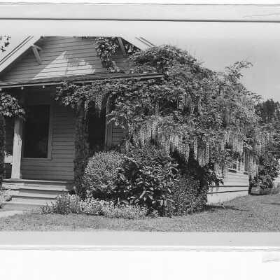 Photograph