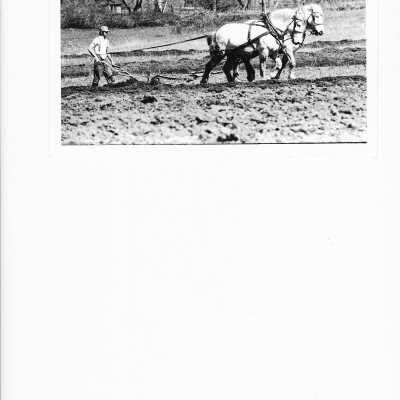 Horse drawn plow