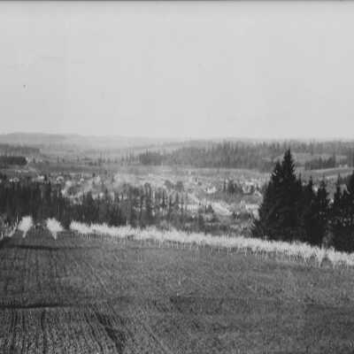 Orchard near Estacada