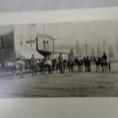 Pack Horses on Broadway St.