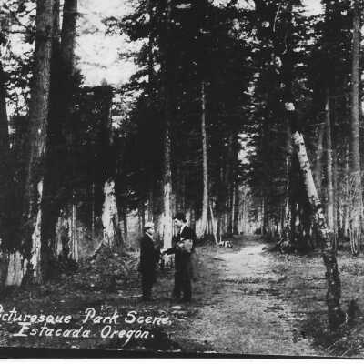 Estacada Park, Gazebo Road