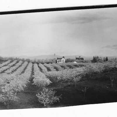 Rose Crest Farm