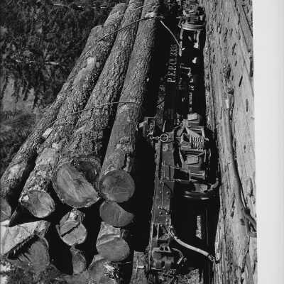 Rail car loaded with logs