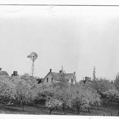 Rose Crest Farm