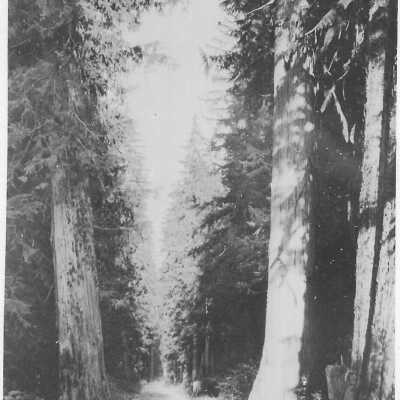 Estacada Park, Lake Shore Drive Road
