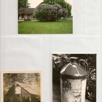 Photograph
