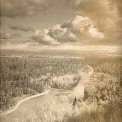 Photograph