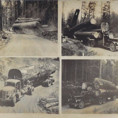 Log Trucks