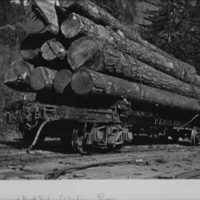 Train car with load of Logs