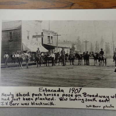 Pack Horses on Broadway Street