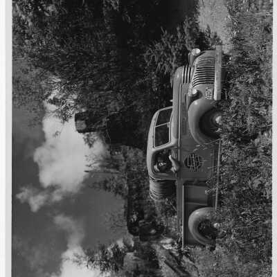 Photograph