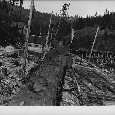LeDee Logging Camp