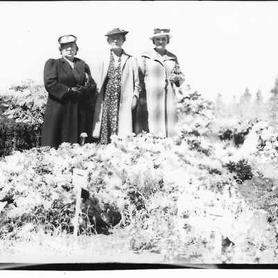 Photograph