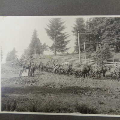 Horse drawn plow team
