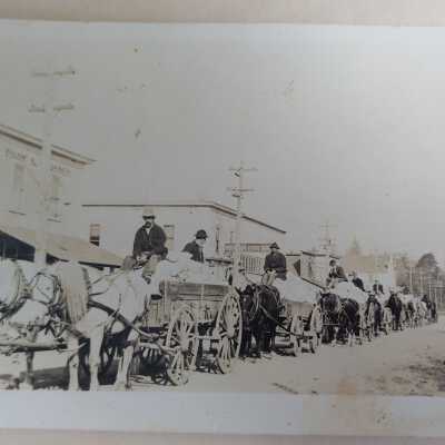 Photograph