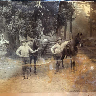 Photograph