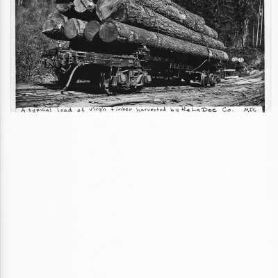 Load of virgin timber harvested by La Dee