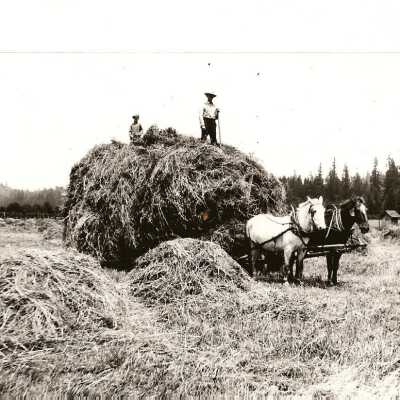 Bringing in Hay