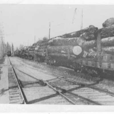 photograph
