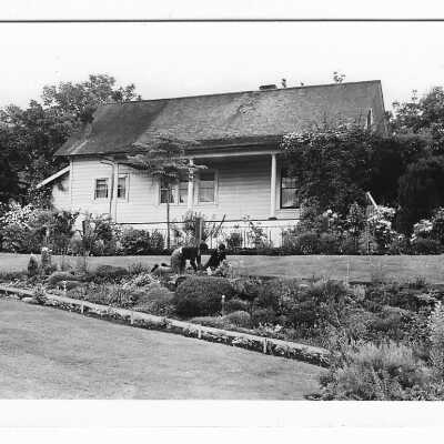 Photograph