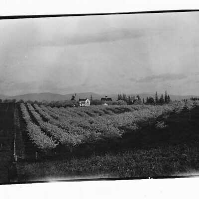 Rose Crest Farm Orchard